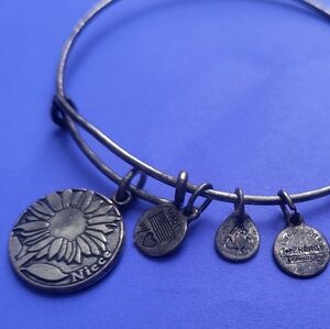 Alex and Ani Silver Charm Bracelet